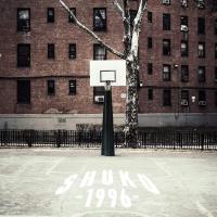 Shuko - 1996 vinyl cover