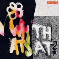 Shybits - What's That vinyl cover