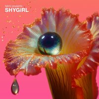 Shygirl - fabric presents Shygirl (Yellow Transparent) vinyl cover