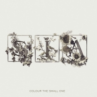 Sia - Colour The Small One vinyl cover