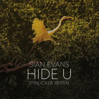 Sian Evans (Kosheen)  /  Tinlicker & Helsloot - Hide U Tinlicker Remix 