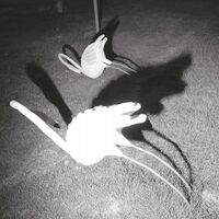 Siavash Amini - A Mimesis Of Nothingness vinyl cover