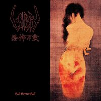 Sigh - Hail Horror Hail vinyl cover