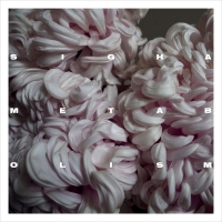 Sigha - Metabolism vinyl cover