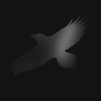 Sigur Rós - Odin’s Raven Magic vinyl cover
