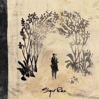 Sigur Rós - Takk... vinyl cover