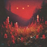 Silent Planet - SUPERBLOOM vinyl cover