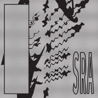 Silk Road Assassins - Reflection Spaces vinyl cover