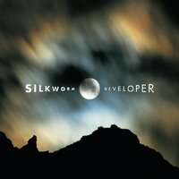 Silkworm - Developer (Deluxe Edition) vinyl cover