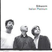 Silkworm - Italian Platinum vinyl cover