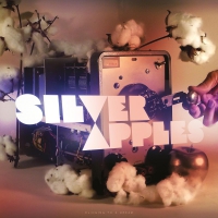Silver Apples - Clinging To A Dream vinyl cover