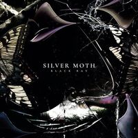 Silver Moth - Black Bay