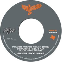 Silver Skylarks - Power Moves vinyl cover