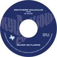 Silver Skylarks - Southern Calculus vinyl cover