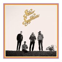 Silver Synthetic - Silver Synthetic vinyl cover