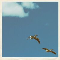 Sim Nagai - Palm Dreams vinyl cover