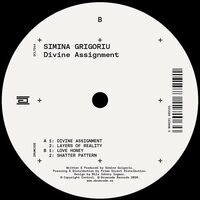 Simina Grigoriu - Divine Assignment vinyl cover