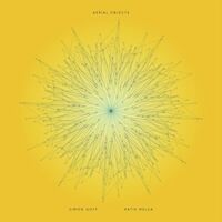 Simon Goff & Katie Melua - Aerial Objects vinyl cover