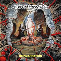 Simulakra - Reincarnation vinyl cover