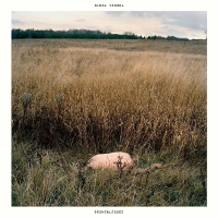 Sinai Vessel - Brokenlegged vinyl cover