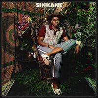 Sinkane - Depayse vinyl cover