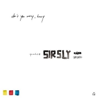 Sir Sly - Don't You Worry, Honey vinyl cover