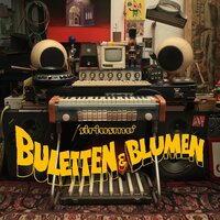 Siriusmo - Buletten & Blumen vinyl cover