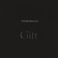 Sisterhood - Gift (Silver) vinyl cover