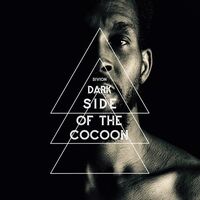 Sivion - Dark Side Of The Cocoon vinyl cover