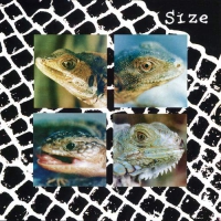 Size - Nadie Puede Vivir Con Un Monstruo vinyl cover