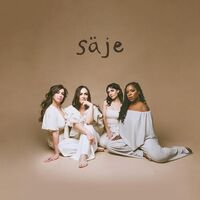 Säje - Saje vinyl cover