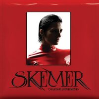 Skemer - Toasts & Sentiments vinyl cover