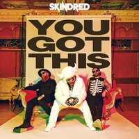 Skindred - You Got This vinyl cover