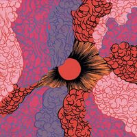 Skinshape - High Tide, Storm Rising vinyl cover