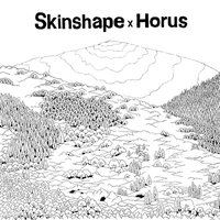Skinshape X Horus - Skinshape X Horus vinyl cover