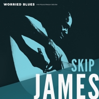 Skip James - Worried Blues vinyl cover