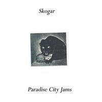 Skogar - Paradise City Jams vinyl cover