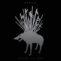 Skold - Never Is Now vinyl cover