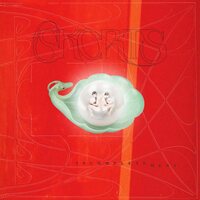 SKORTS - Incompletement vinyl cover