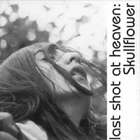 Skullflower - Lost Shot At Heaven vinyl cover