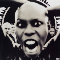 Skunk Anansie - Stoosh vinyl cover
