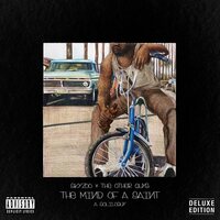 Skyzoo & the Other Guys - The Mind Of A Saint vinyl cover