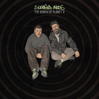 Sleaford Mods - The Demise of Planet X vinyl cover