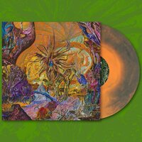 Slimelord - Chytridiomycosis Relinquished (Orange/Royal Blue) vinyl cover