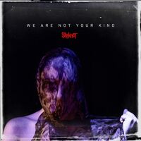 Slipknot - We Are Not Your Kind vinyl cover