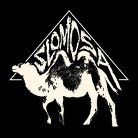 Slomosa - SLOMOSA (LTD. vinyl cover