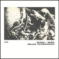 Sloog & Brain Tourniquet - Split vinyl cover