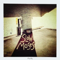 Slow Moses - Charity Binge vinyl cover