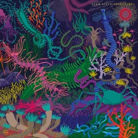 Slow Steve - Adventures vinyl cover