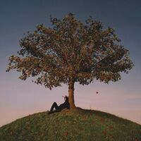 Slowthai - Tyron vinyl cover